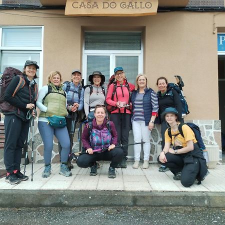 Pension Casa Do Gallo サリア エクステリア 写真